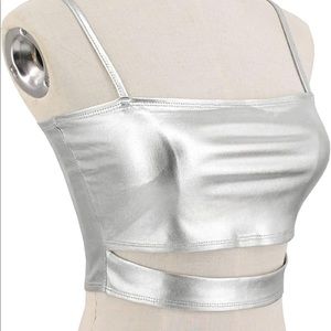 Metallic Crop Top